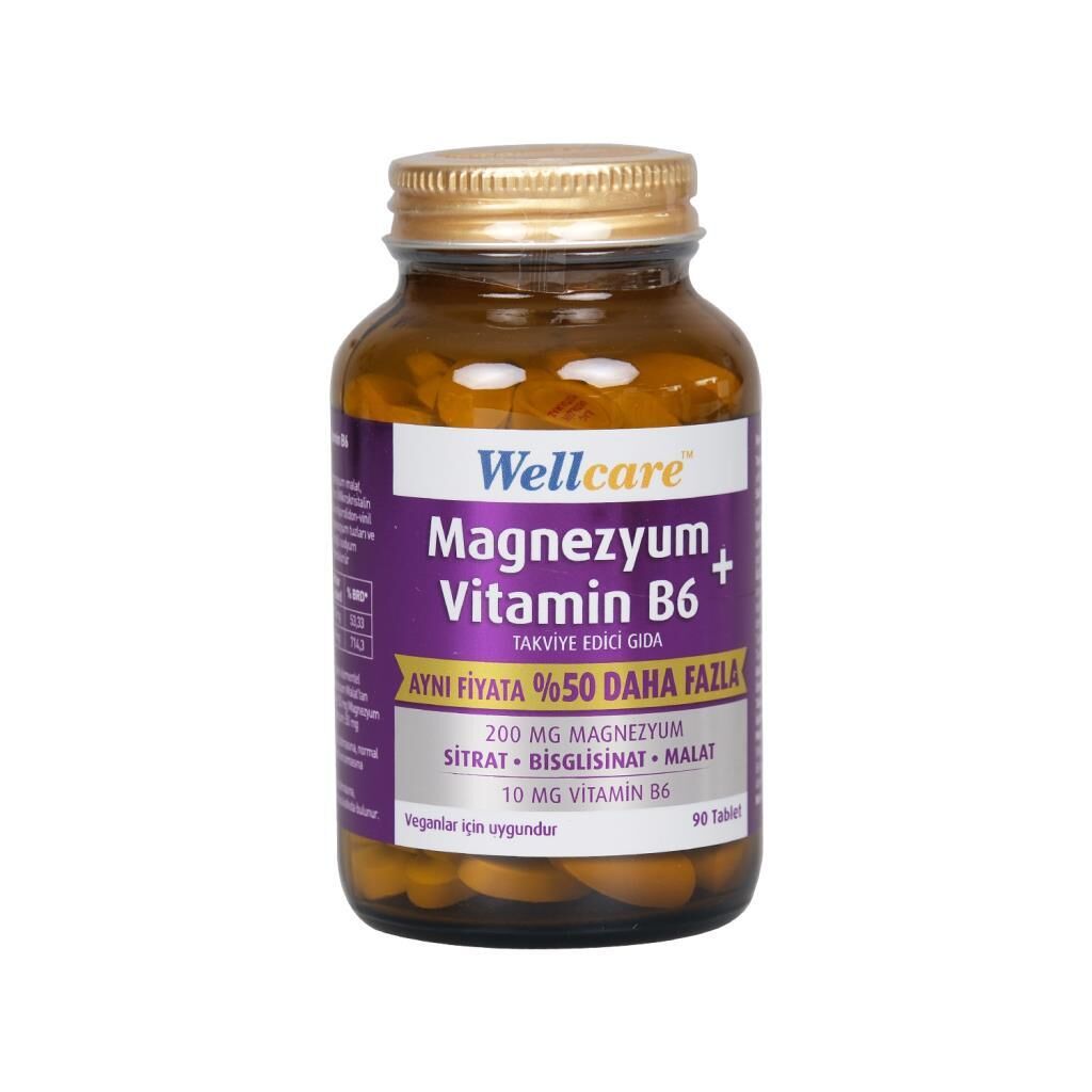 Wellcare Magnezyum Vitamin B6 200/10MG 90 Tablet