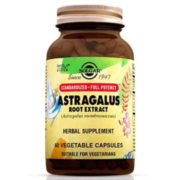 Sol-gar Astragalus Root Extract 60 Bitkisel Kapsül