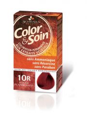 Color Soin Organik Saç Boyası 10R Işıltılı Kızılın Çarpıcılığı-Shinning Red