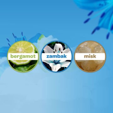 Dalin Bebek Kolonyası Deniz Esintisi 150 ml