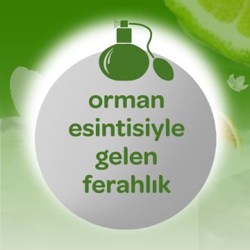 Dalin Bebek Kolonyası Orman Esintisi 150 ml