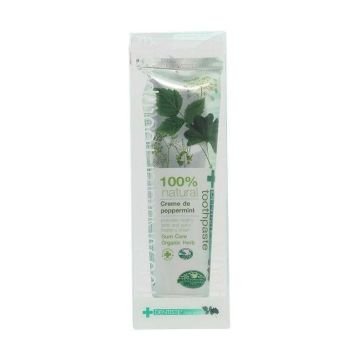 Dentiste Natural 100% Toothpaste 100g